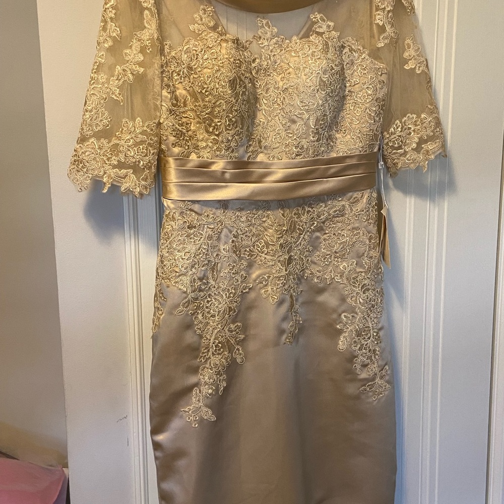Beautiful Champagne colored Lace and satin dress - Picture 3 of 6